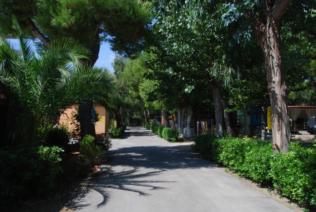 Villaggio Verde Cupra Купра-Мариттіма Екстер'єр фото